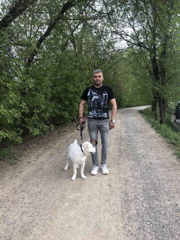 ���������� �����, ���� ������� ������, 51 ���, ������������ ��� ������, ����� � ���������