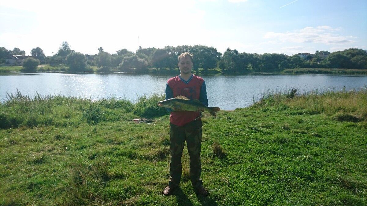 ���������� �����, ���� ������� �����, 46 ���, ������������ ��� ������, ����� � ���������, c�������� ���������