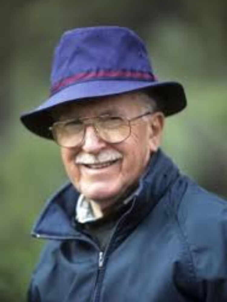 ���� 21041830 ������� Amil, 38 ���, ���� ���������� � ����