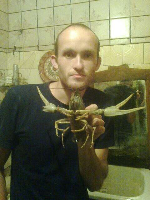 ���� 42940470 ������� �������, 36 ���, ���� ���������� � ����