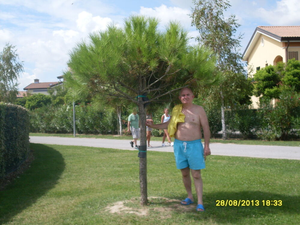  ,   , 67 ,   ,   , c 