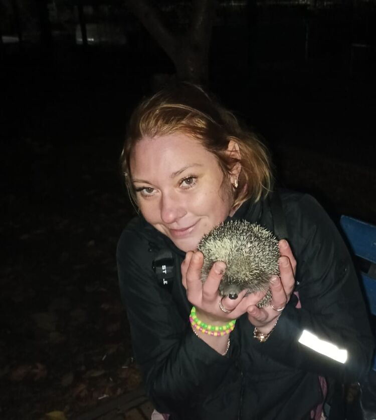 ���������� �����, ���� ������� ��������, 36 ���, ������������ ��� ������, ����� � ���������