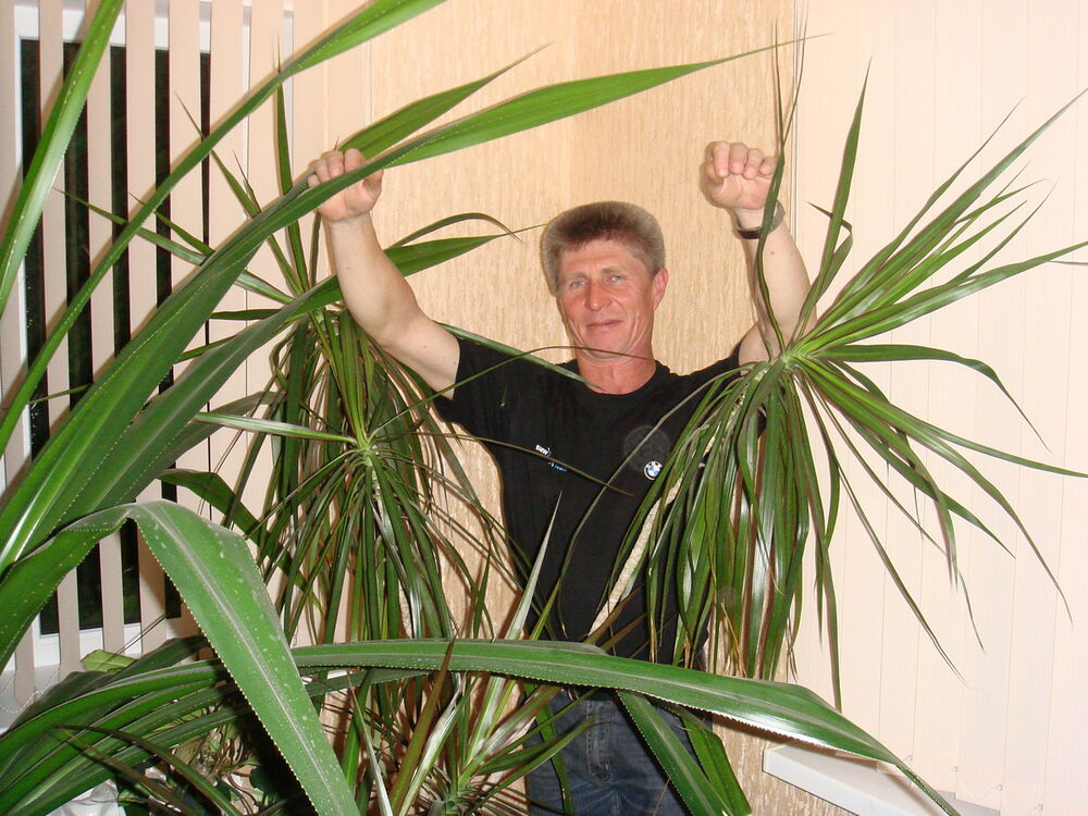 ���� 5003780 ������� �����, 51 ���, ���� ���������� � ������������