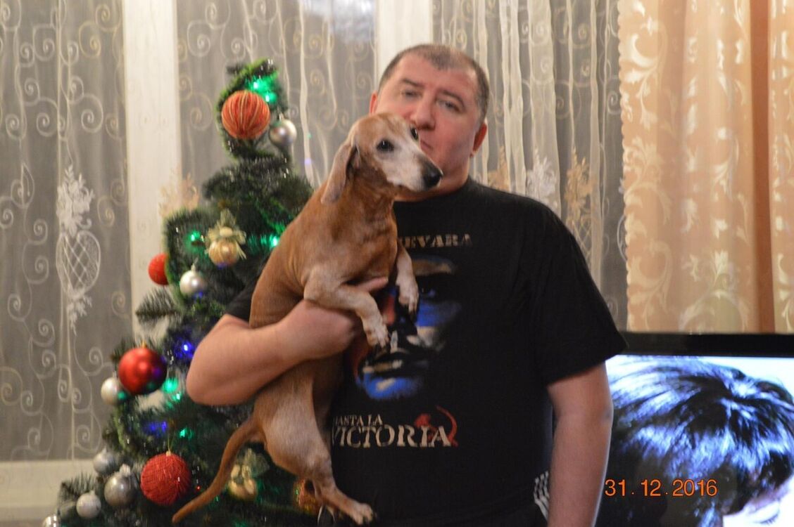 ���������� �����������, ���� ������� ������, 55 ���, ������������ ��� ������, ����� � ���������, c�������� ���������, ���������