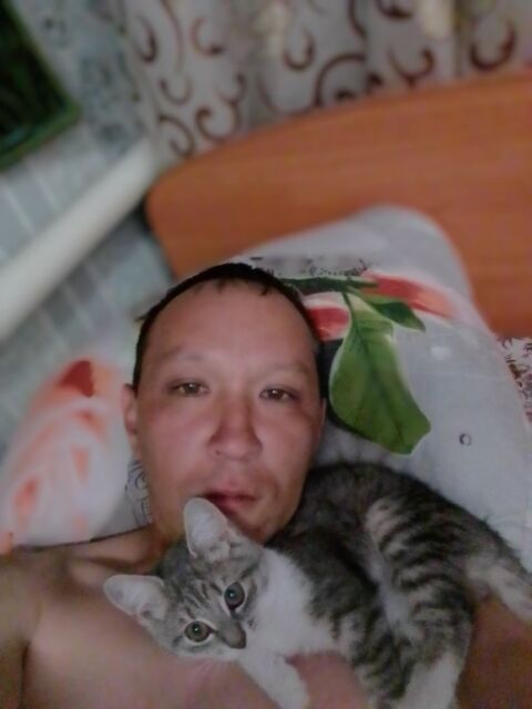  27656330  , 39 ,    
