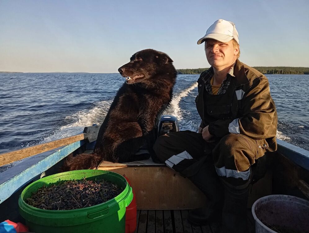 ���������� ����������, ���� ������� ������, 34 ����, ������������ ��� c�������� ���������