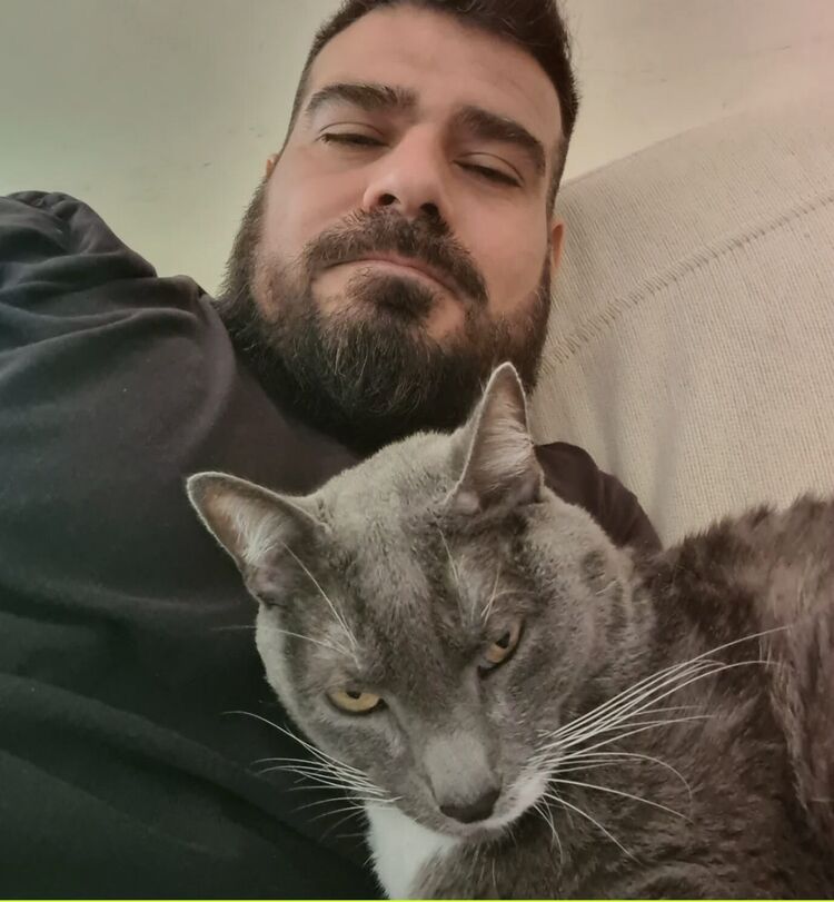 ���� 55186160 ������� ������, 41 ���, ���� ���������� � ��������