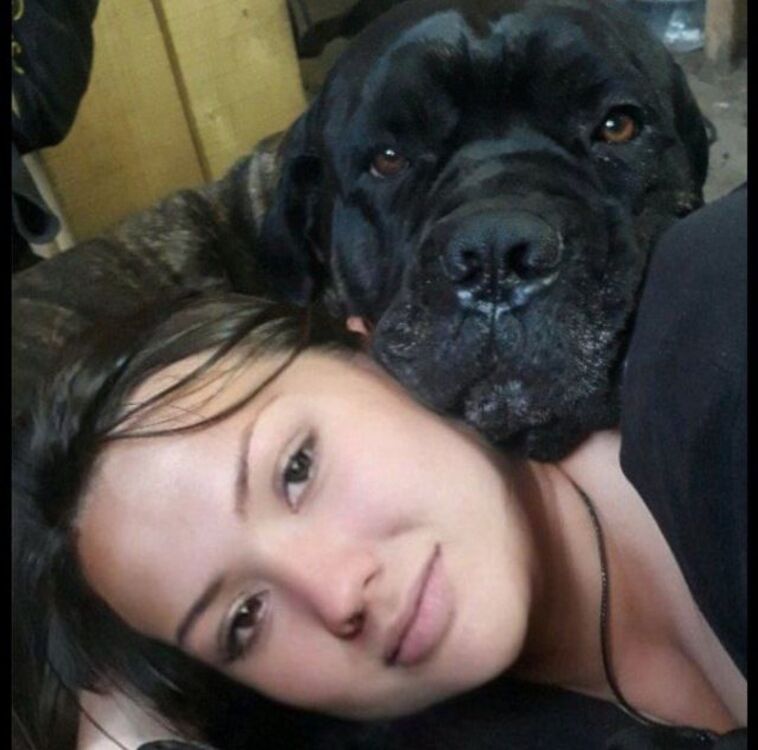 ���������� ������, ���� ������� ���, 38 ���, ������������ ��� ������, ����� � ���������, c�������� ���������, ���������