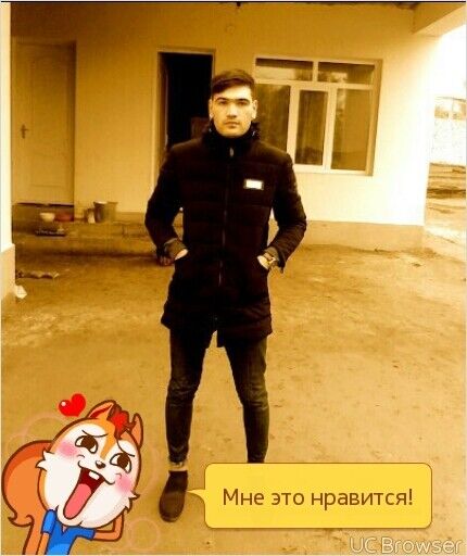  8677520  , 33 ,    -