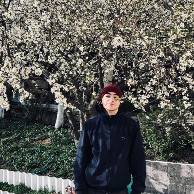 ���������� ���������, ���� ����� ��������, 24 ����, ������������ ��� ������, ����� � ���������