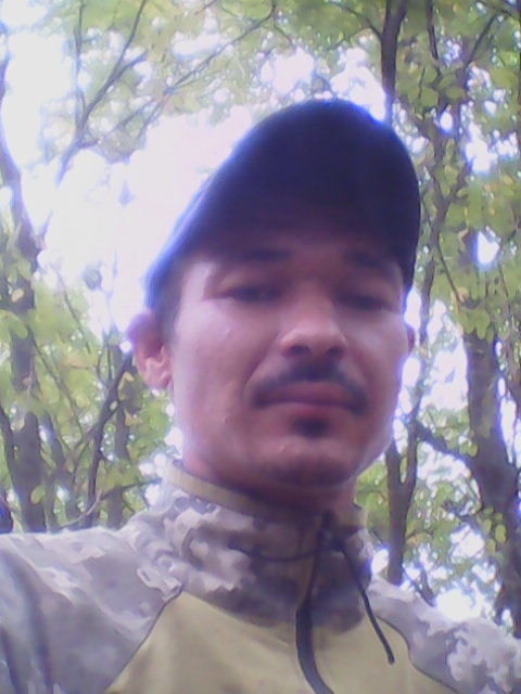  17908240  , 34 ,    