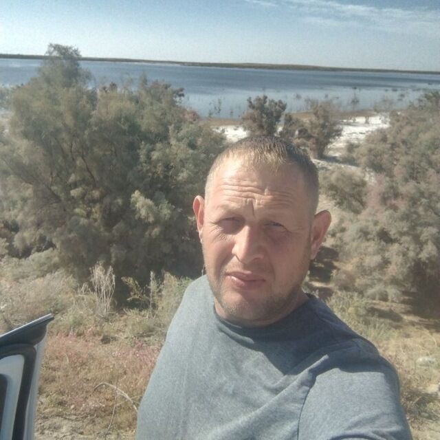  49587210  , 41 ,    