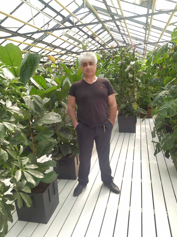 ���� 42385990 ������� ������, 56 ���, ���� ���������� � ������