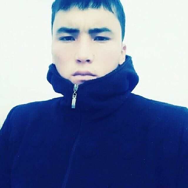  31076370  , 29 ,    