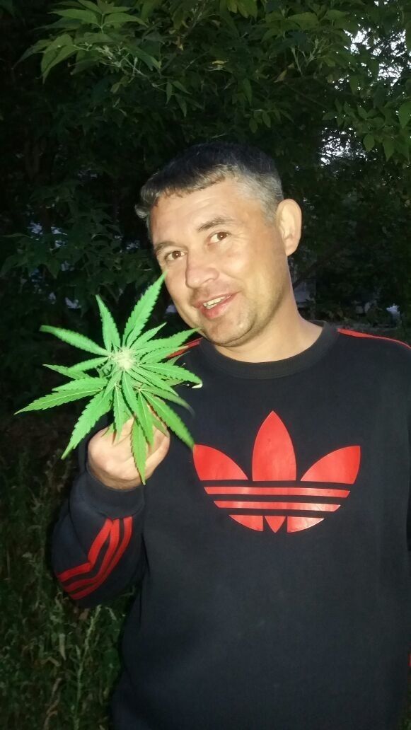 ���������� ���������, ���� ������� ������, 40 ���, ������������ ��� ������, ����� � ���������, c�������� ���������