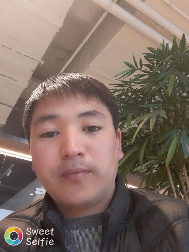 ���� 29684840 ������� ������, 32 ����, ���� ���������� � ������