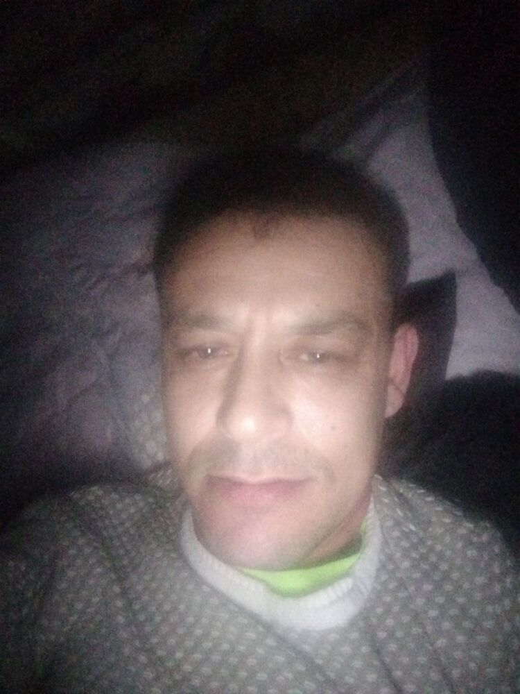 ���� 31311480 ������� ����, 42 ����, ���� ���������� � ������