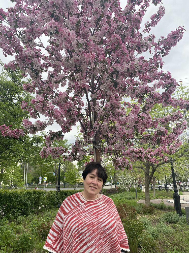 ���������� ������, ���� ������� �����, 60 ���, ������������ ��� c�������� ���������