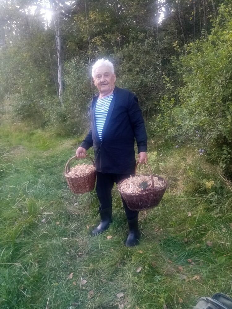 ���� 54302790 ������� ����, 87 ���, ���� ���������� � �����������