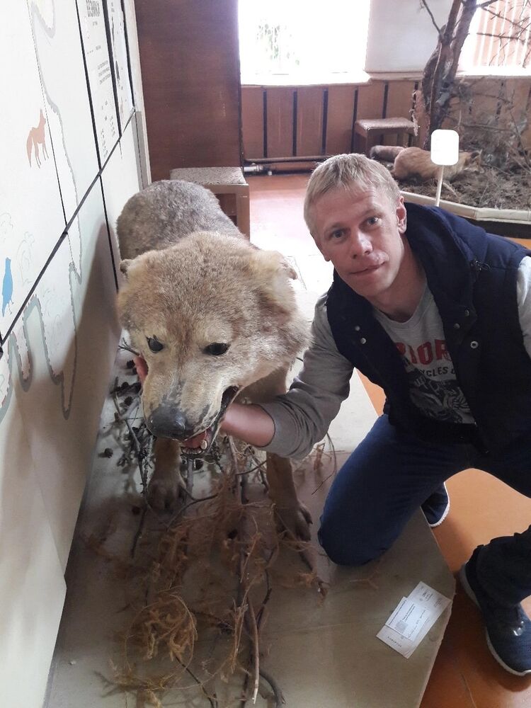  ,   , 41 ,   ,   , c 