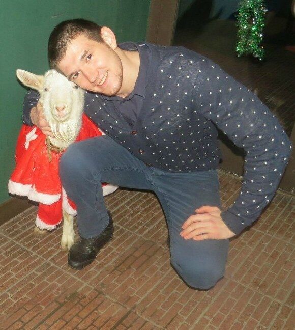 ���������� ������������, ���� ������� Art, 37 ���, ������������ ��� ������, ����� � ���������