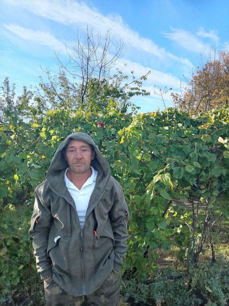  53987660  , 45 ,    --