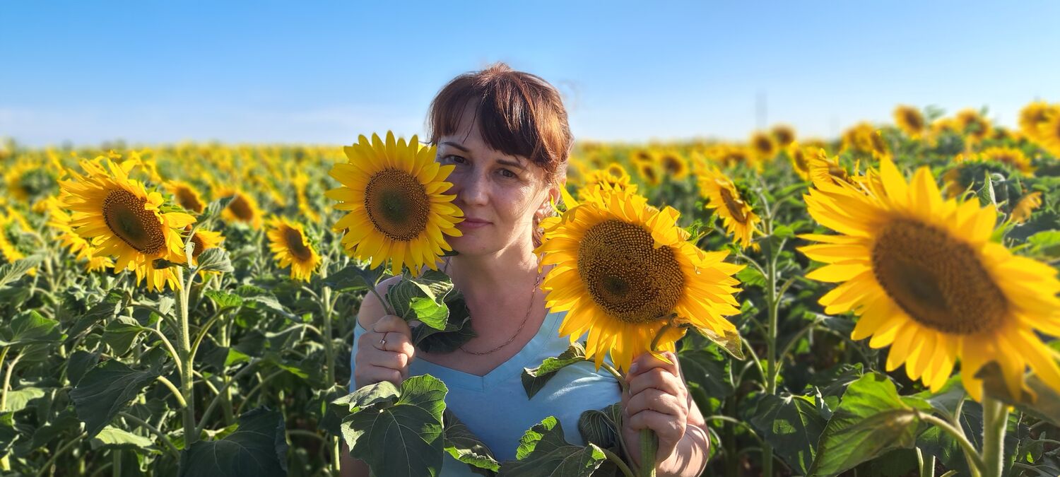  52828670  , 45 ,    -