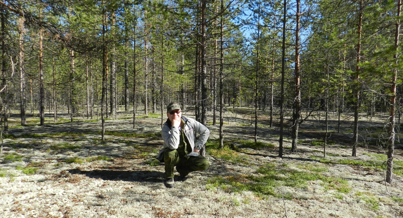 ���������� ���������, ���� ������� ������, 61 ���, ������������ ��� c�������� ���������