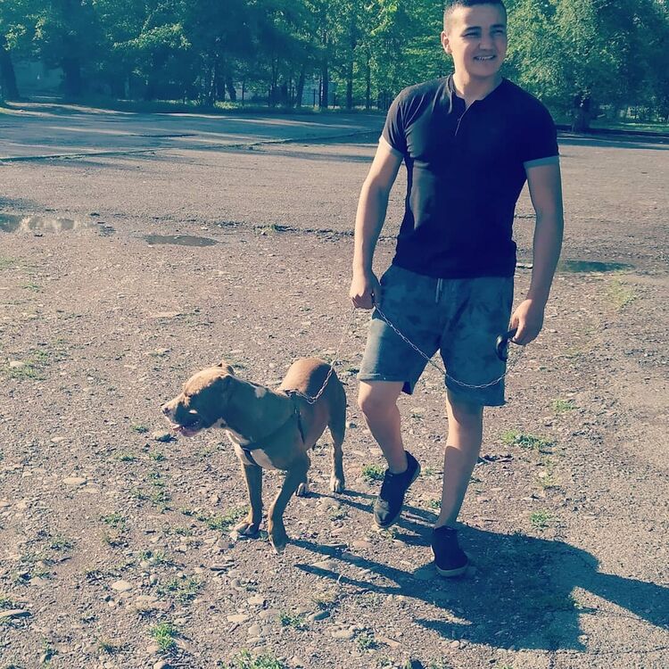 ���� 56089940 ������� �����, 30 ���, ���� ���������� � �������