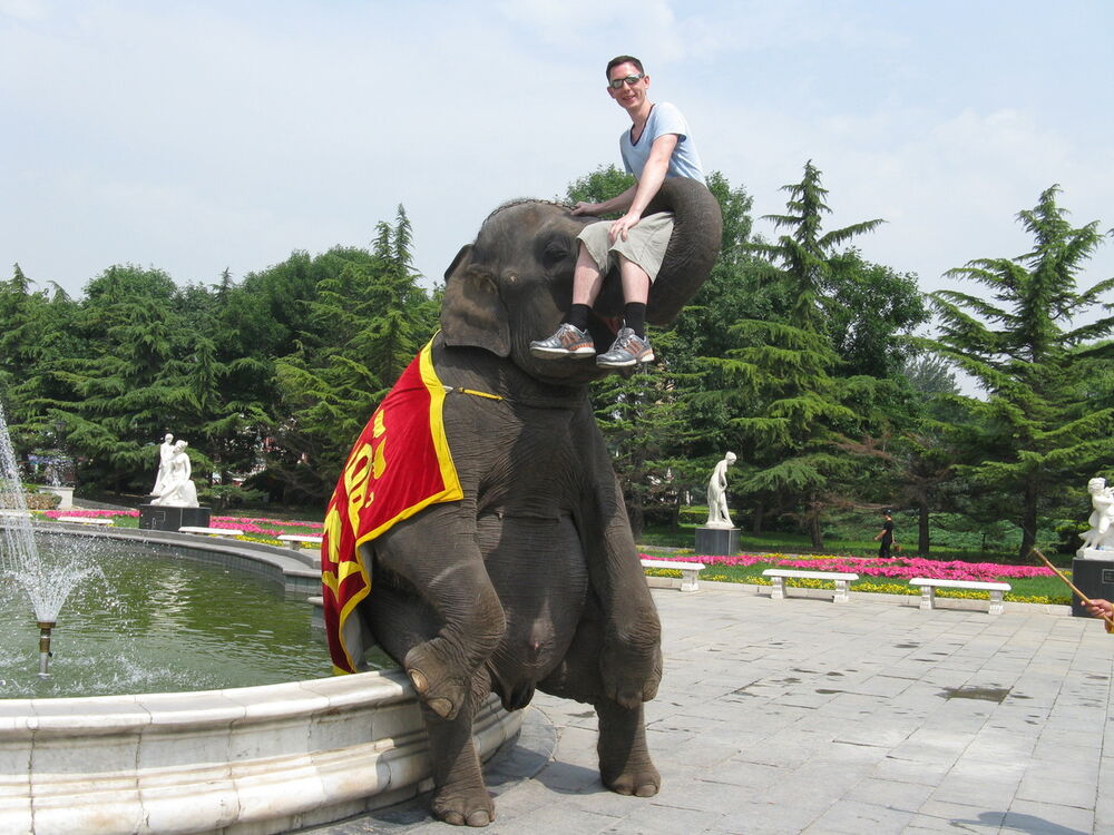 ���������� �������, ���� ������� ������, 42 ����, ������������ ��� ������, ����� � ���������, c�������� ���������