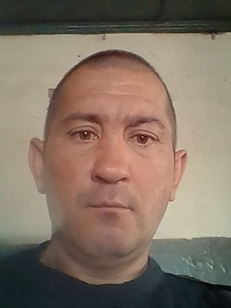  15817660  , 44 ,    