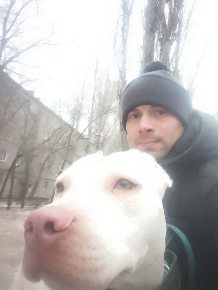 ���������� ������, ���� ������� �������, 38 ���, ������������ ��� c�������� ���������, ���������