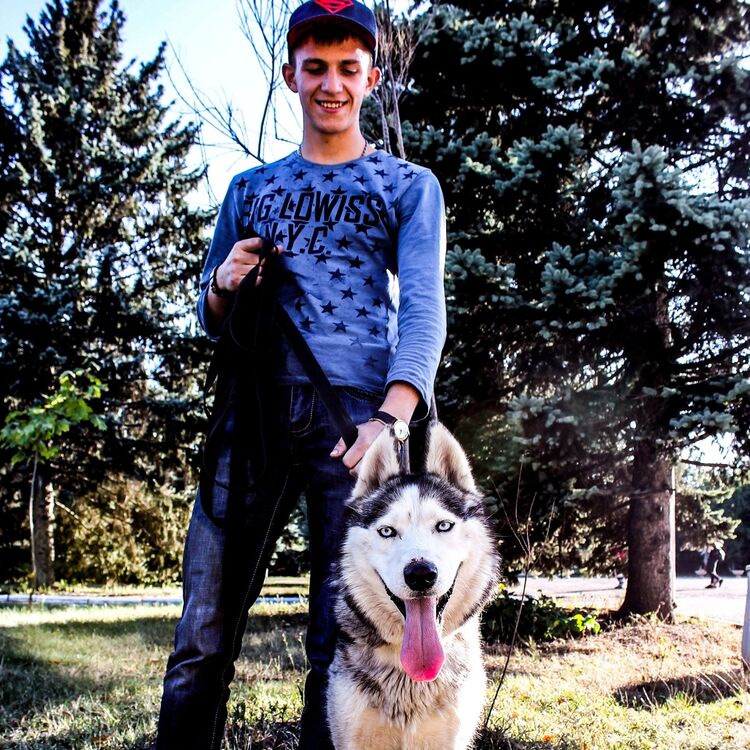 ���� 11503260 ������� Dan, 26 ���, ���� ���������� � ��������