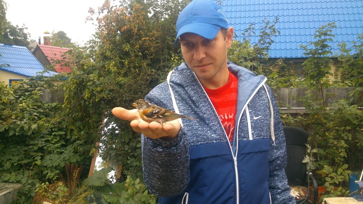 ���������� ������, ���� ������� ���������, 40 ���, ������������ ��� ������, ����� � ���������, c�������� ���������