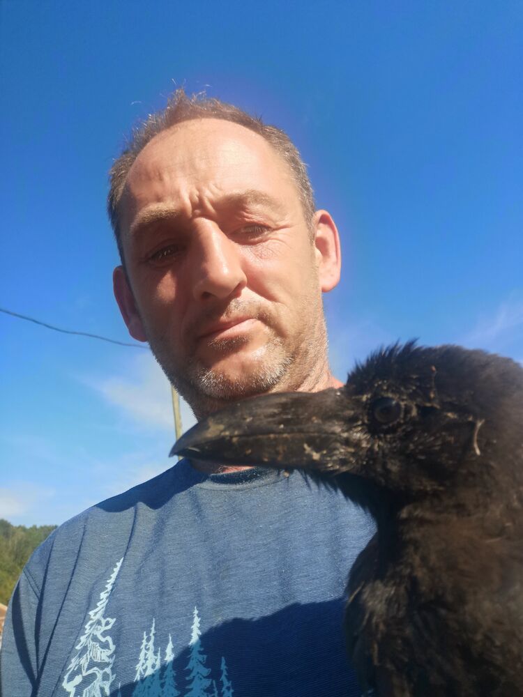 ���� 24936530 ������� �������, 46 ���, ���� ���������� � ����-����������