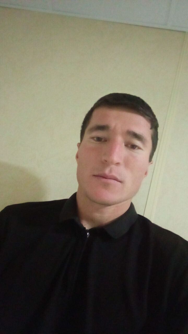  33925100  , 30 ,    -