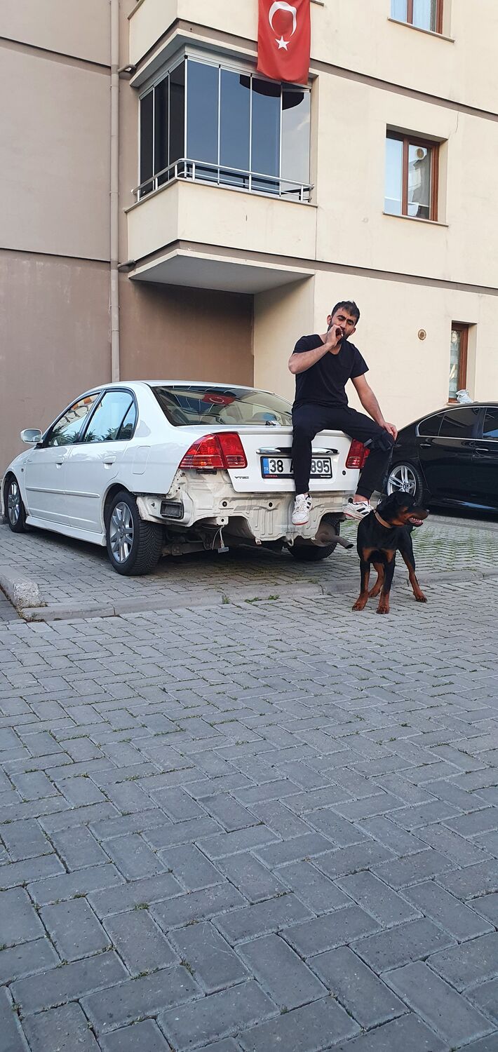 ���������� ������, ���� ������� Adnan, 36 ���, ������������ ��� ������, ����� � ���������