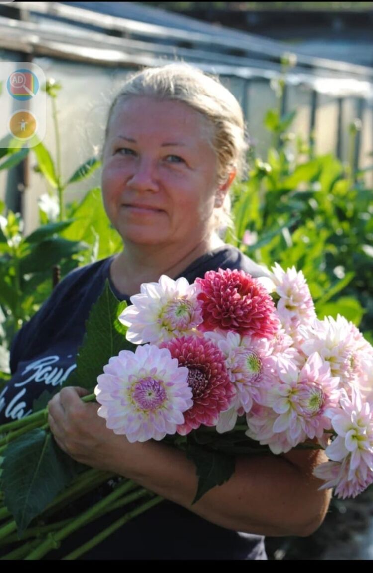 ���� 48095300 ������� ������, 48 ���, ���� ���������� � �����-����������