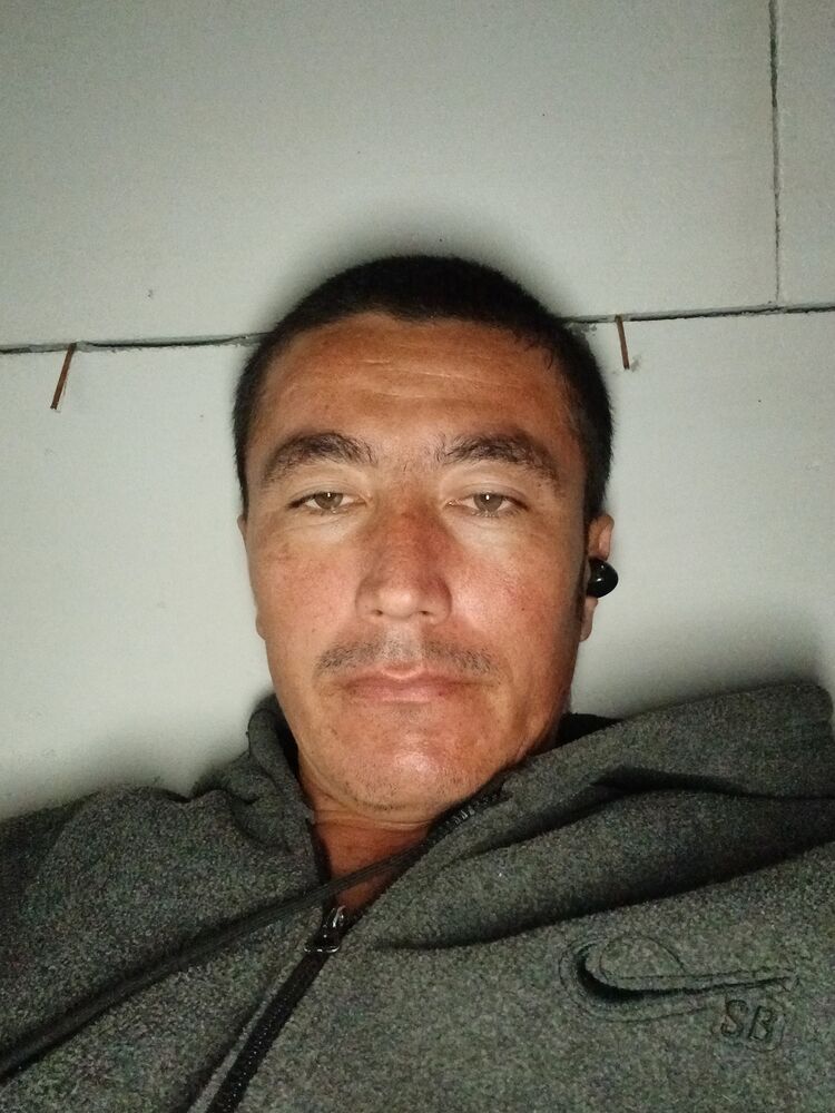  49079550  , 34 ,    