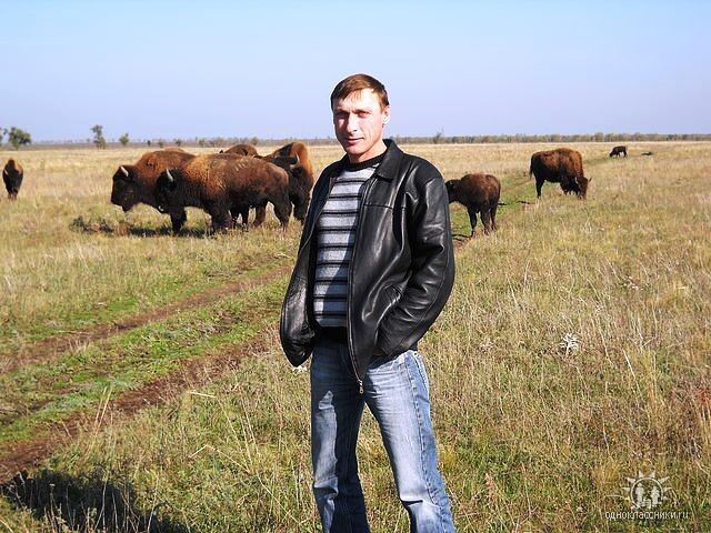  ,   Vladimir, 49 ,   ,   , c 