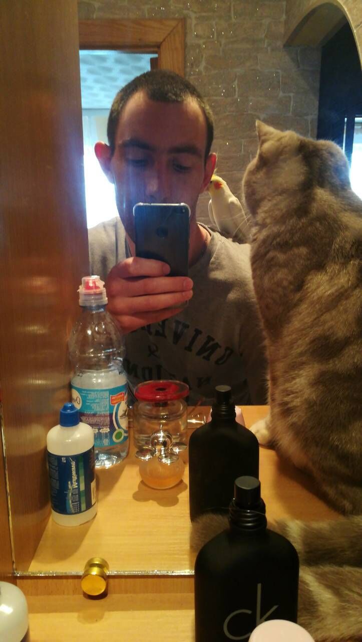 ���� 23861970 ������� ������, 36 ���, ���� ���������� � �������