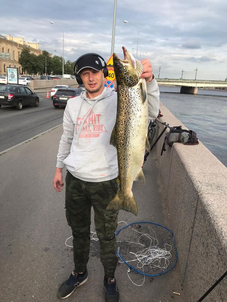 ���� 56188910 ������� �����, 42 ����, ���� ���������� � �����-����������