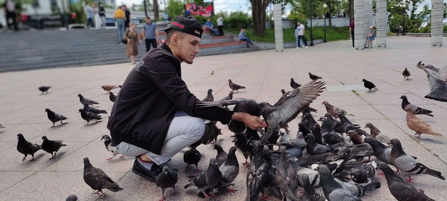 ���������� �����������, ���� ������� ���_������, 27 ���, ������������ ��� ������, ����� � ���������