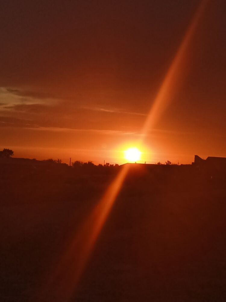  40612630  , 47 ,    
