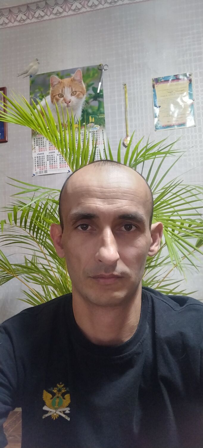  ,   , 38 ,     , c , 