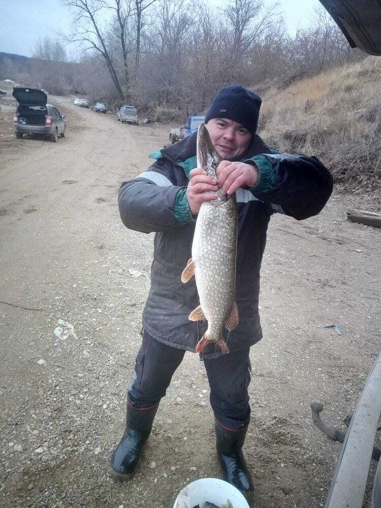 ���� 46109250 ������� ������, 43 ����, ���� ���������� � ������������