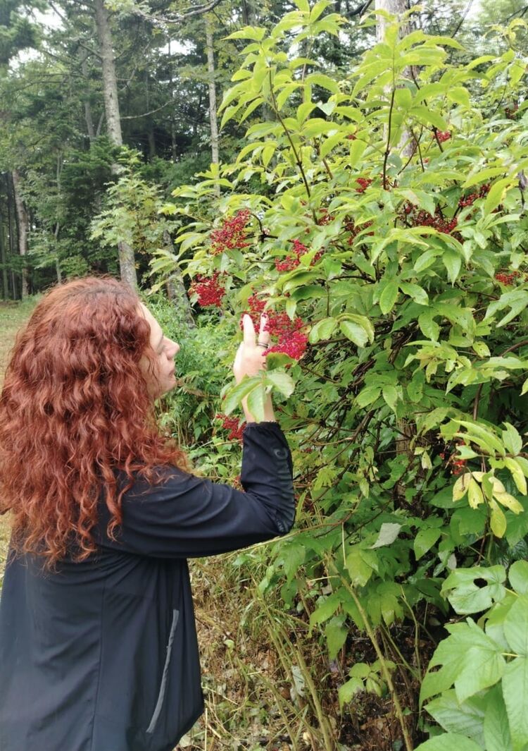  53200670  , 39 ,    -