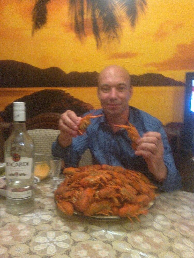  9755920  Lokkki, 45 ,    