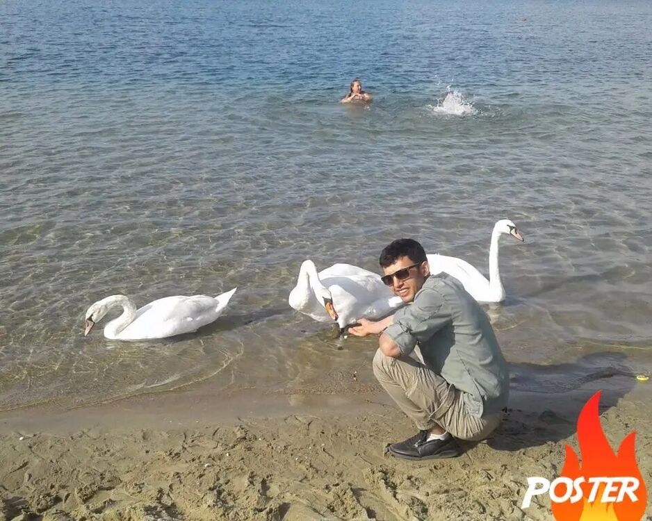 ���������� �����������, ���� ������� ����, 30 ���, ������������ ��� ������, ����� � ���������, c�������� ���������, ���������