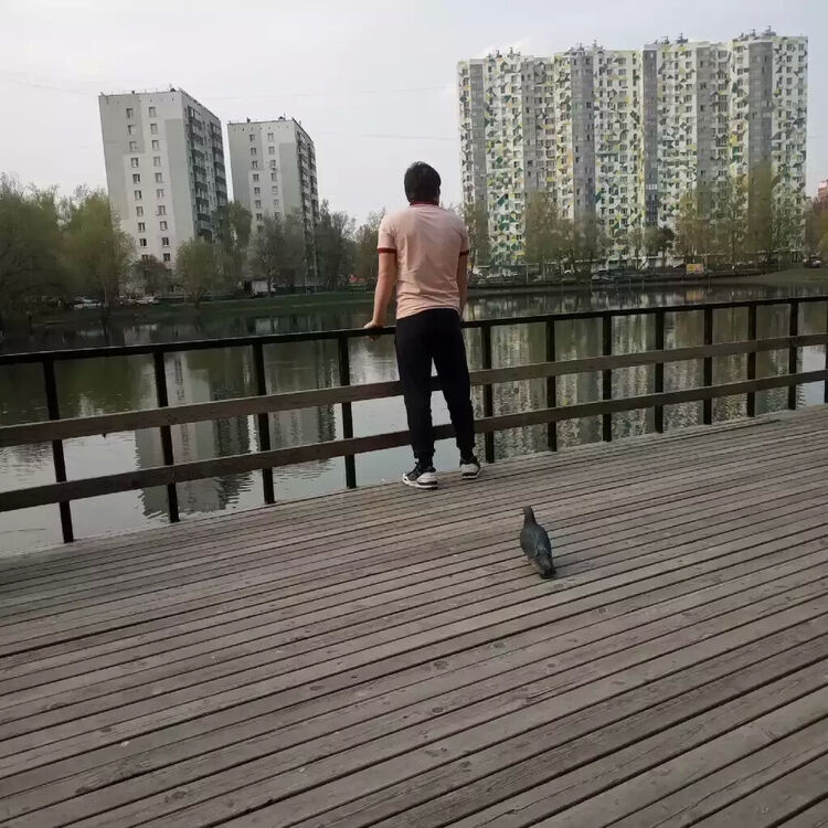  20292900  , 31 ,    